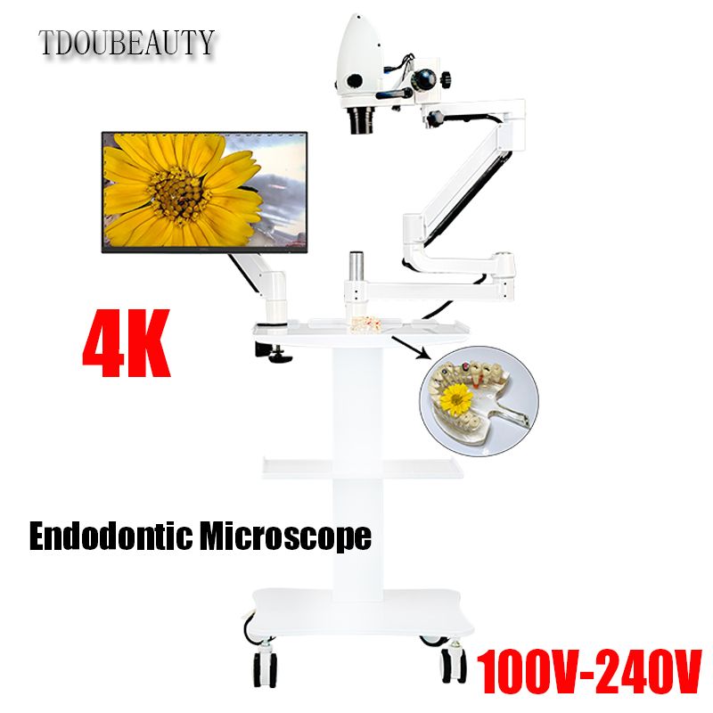 Teeth Whitening Video - 4K-Zahnelektronenmikroskop, 20 Millionen Pixel, Videounterstützung, Wurzelkanal,
