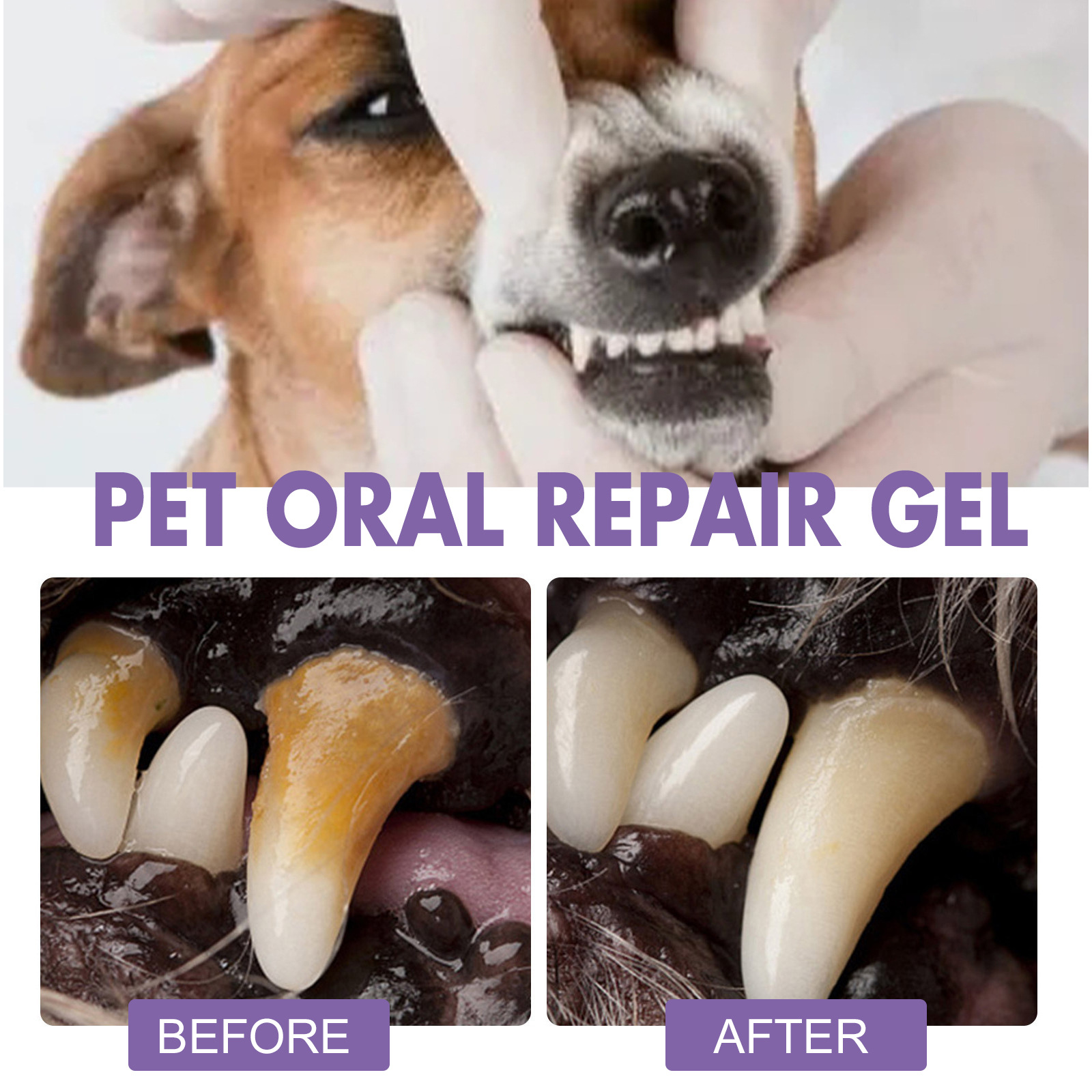 Pet Oral Repair Gel Welpen Zah – Teeth Whitening Foam Bewertung und Preis